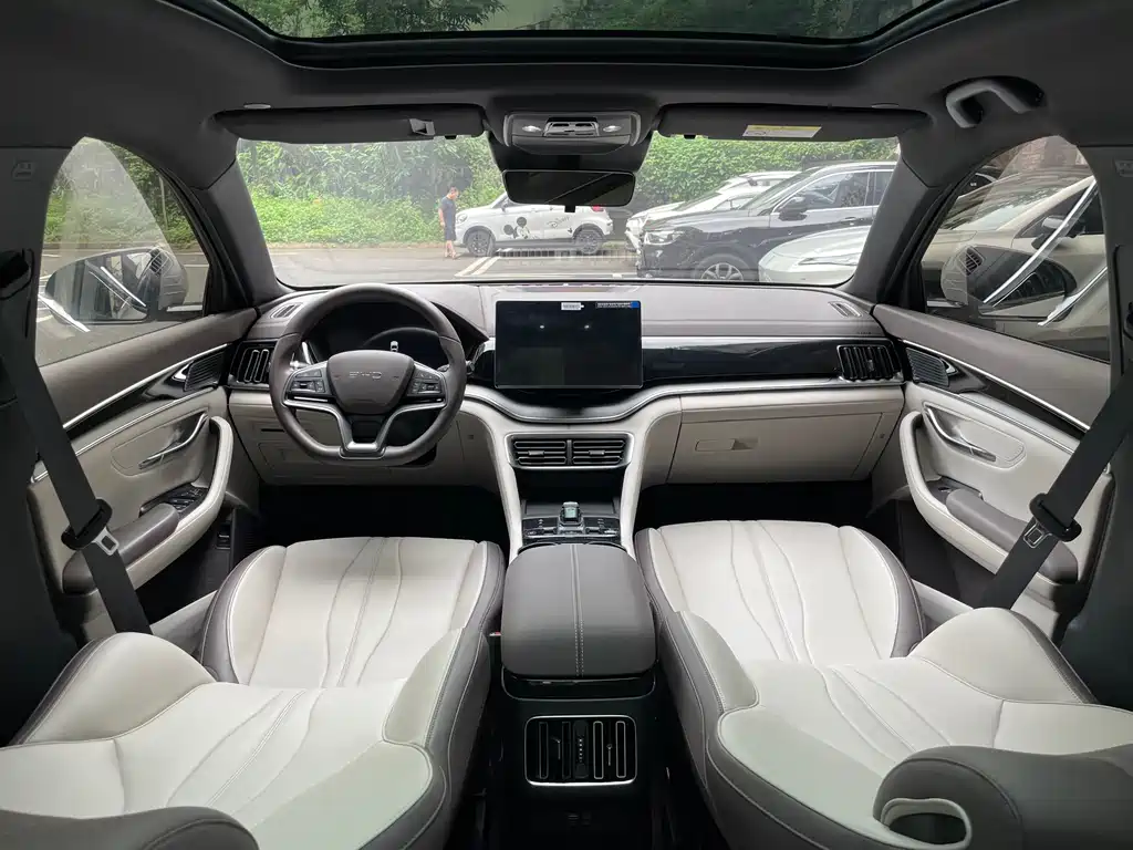 BYD PLUS New Energy 2025 — фото 18