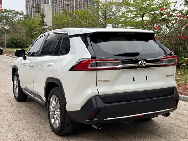 Toyota Wildlander 2020