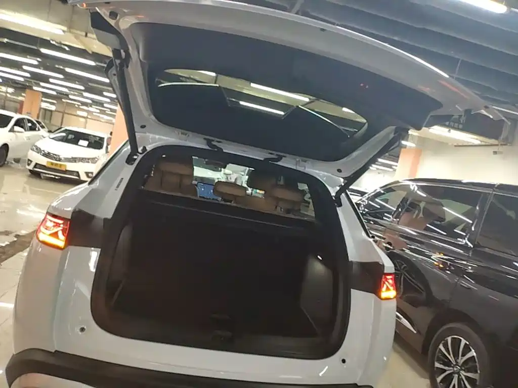 BYD L DM-i 2024 — фото 19