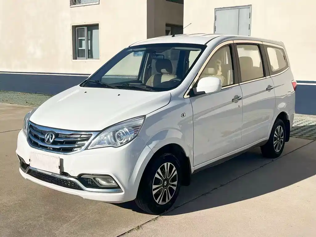BAW Weiwang M20 2016