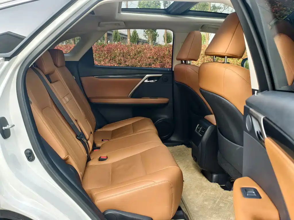 Lexus RX 2020 — фото 10