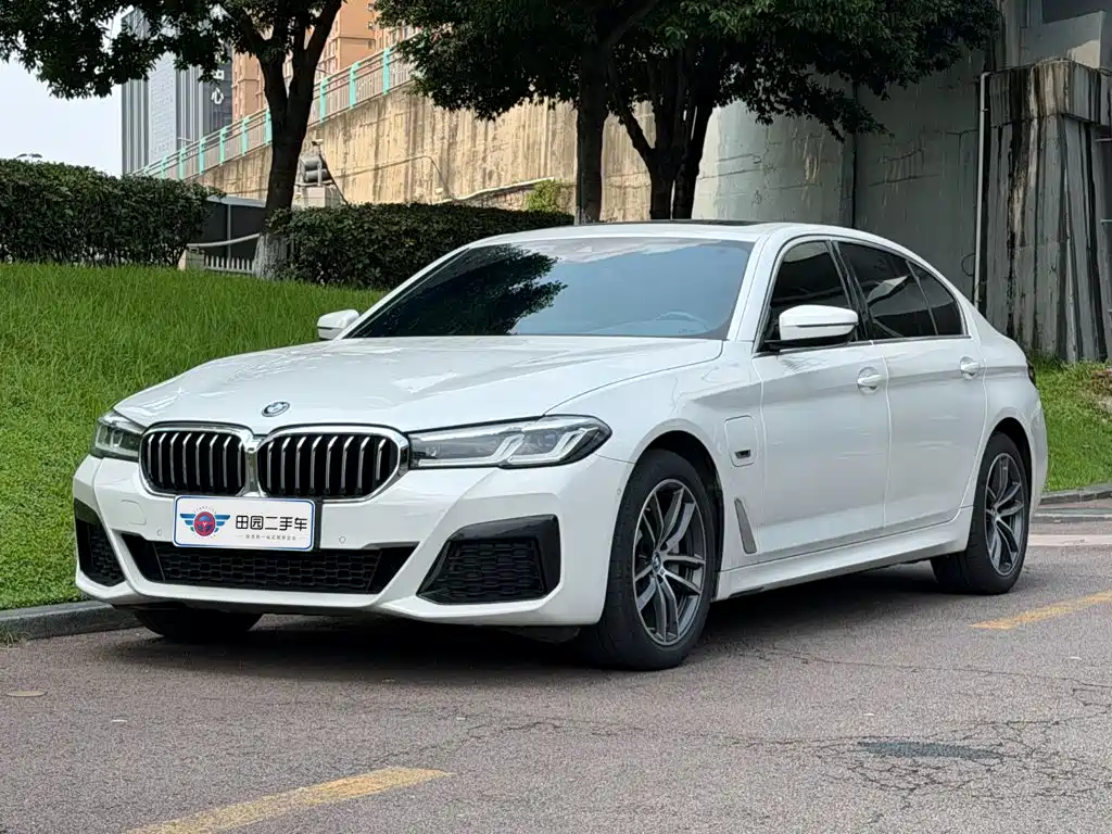 BMW 5 Series New Energy 2022