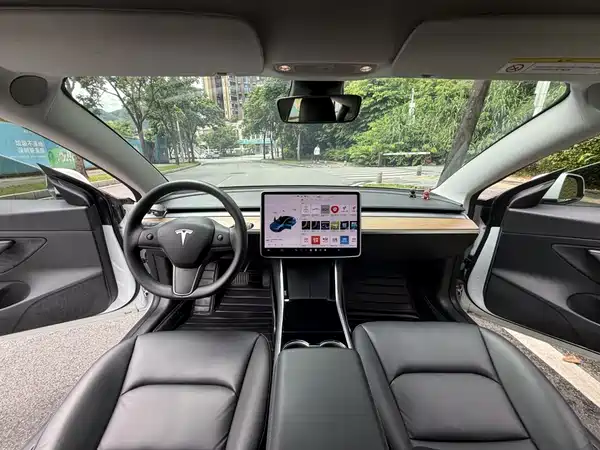 Tesla Model 3 2020