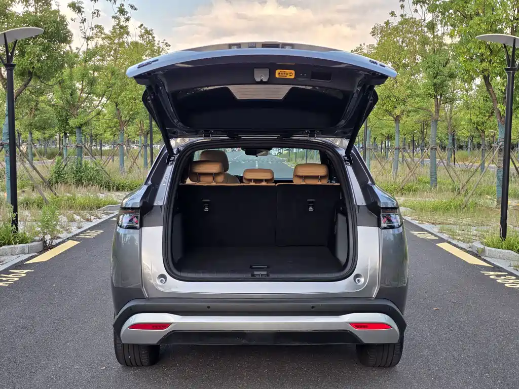 BYD Song L DM-i 2024 — фото 21