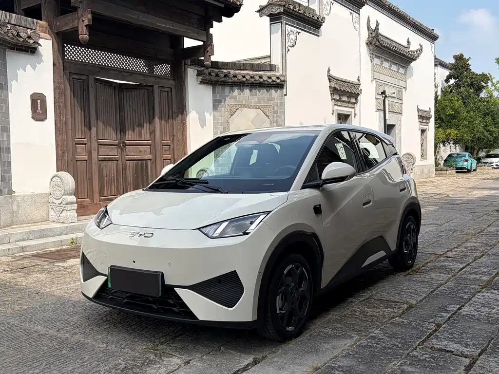 BYD Seagull 2025