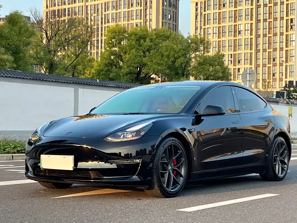 Tesla Model 3 2021