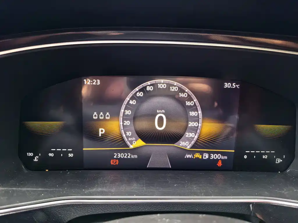 Volkswagen Tharu 2024 — фото 4