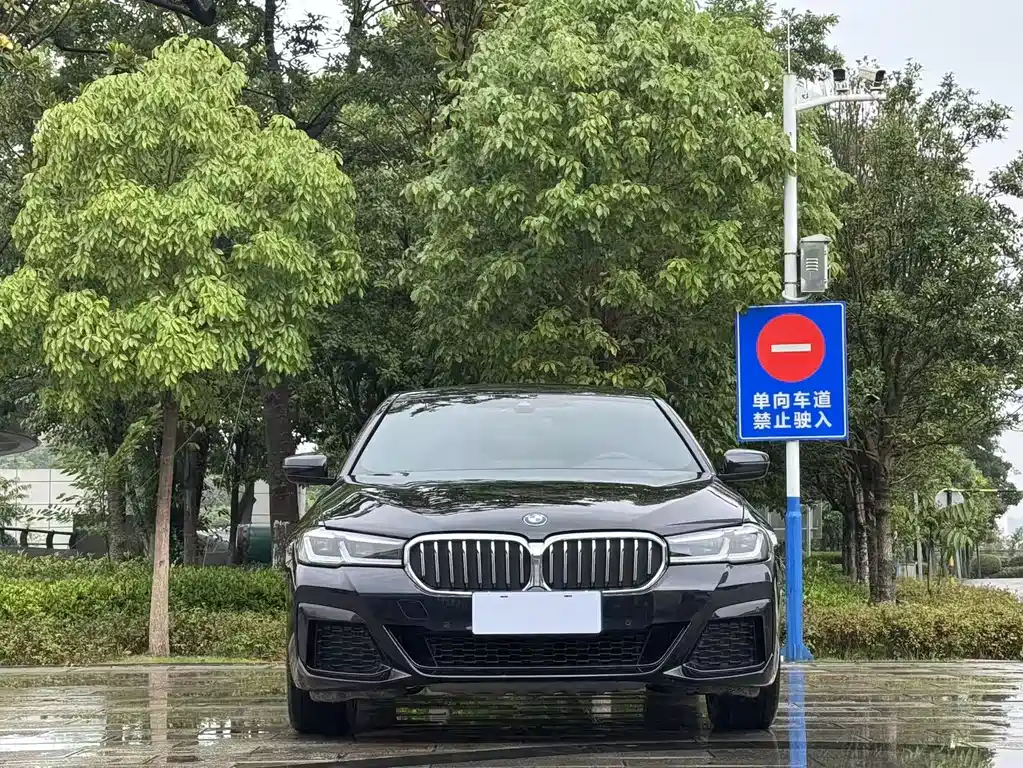 BMW 5 Series 2021