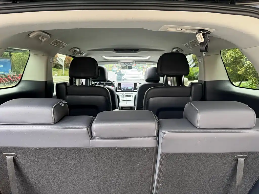 GAC Motor Trumpchi M8 2021 — фото 13