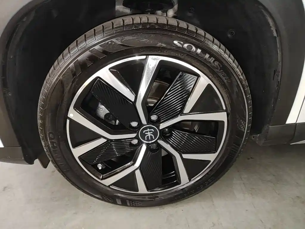 BYD L DM-i 2024 — фото 23