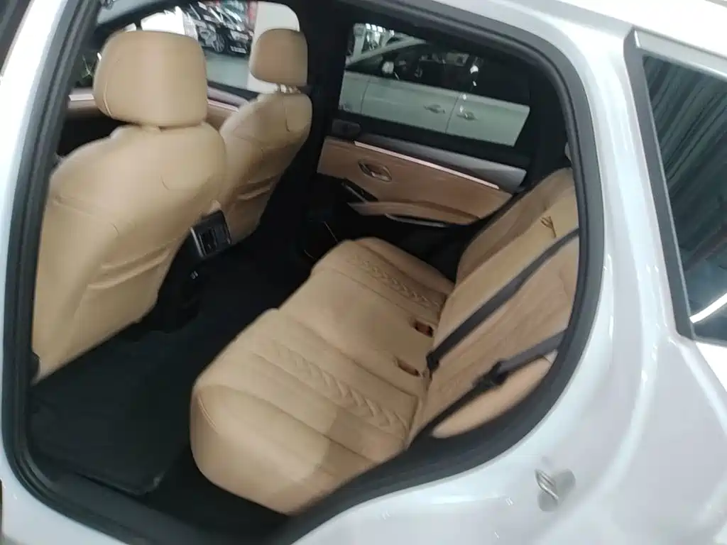 BYD L DM-i 2024 — фото 17