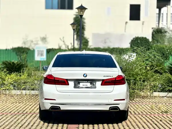 BMW 5 Series 2020