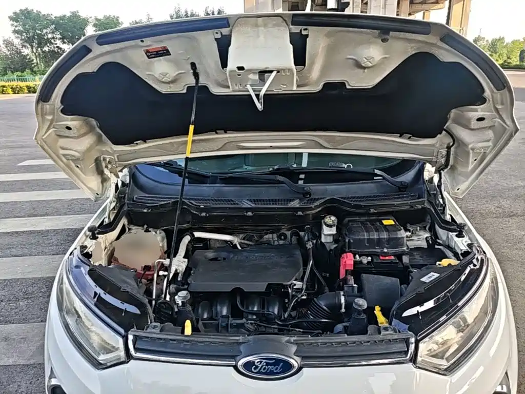 Ford Ecosport 2015 — фото 20