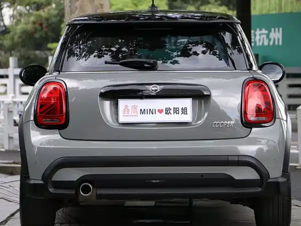 MINI MINI 2021