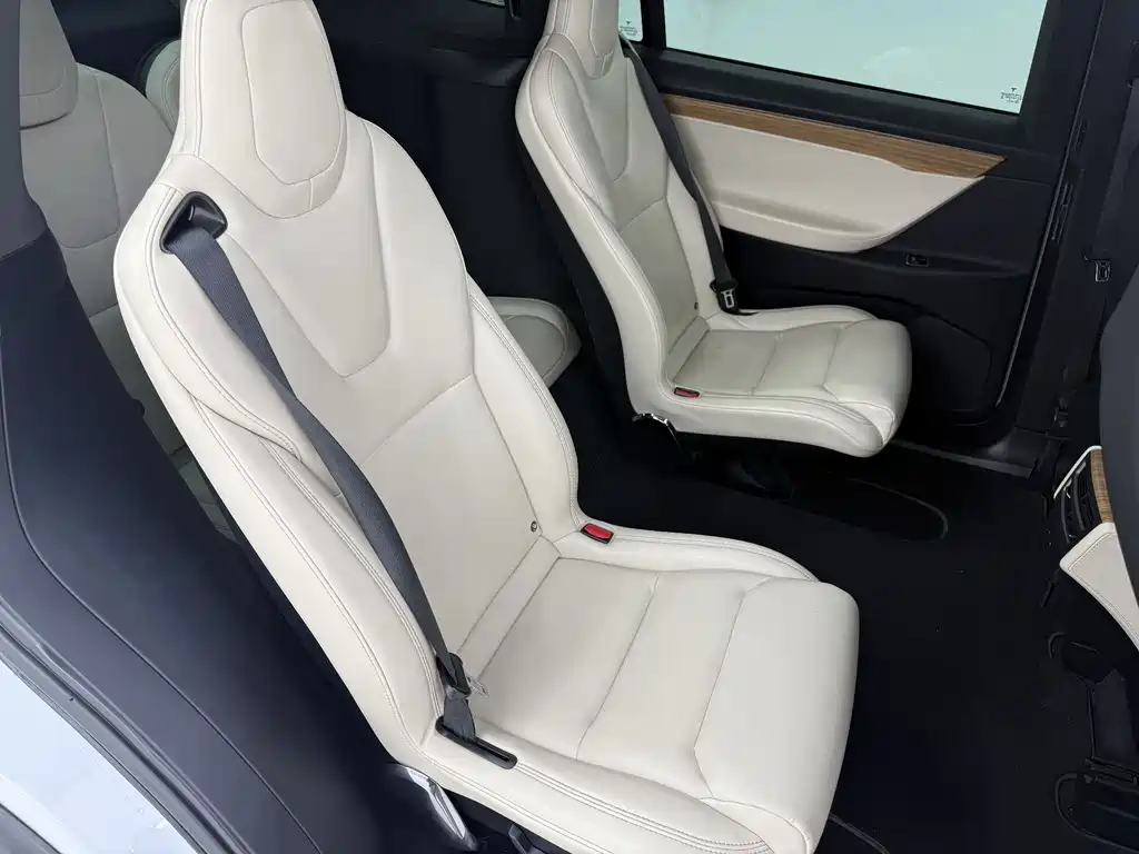 Tesla Model X 2019 — фото 20