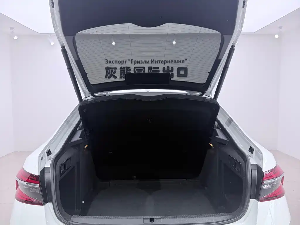 Skoda Speedy 2024 — фото 15