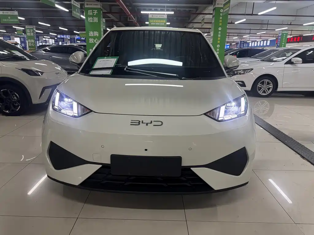 BYD Seagull 2025