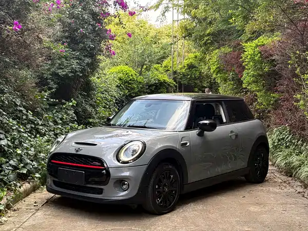 MINI MINI 2021