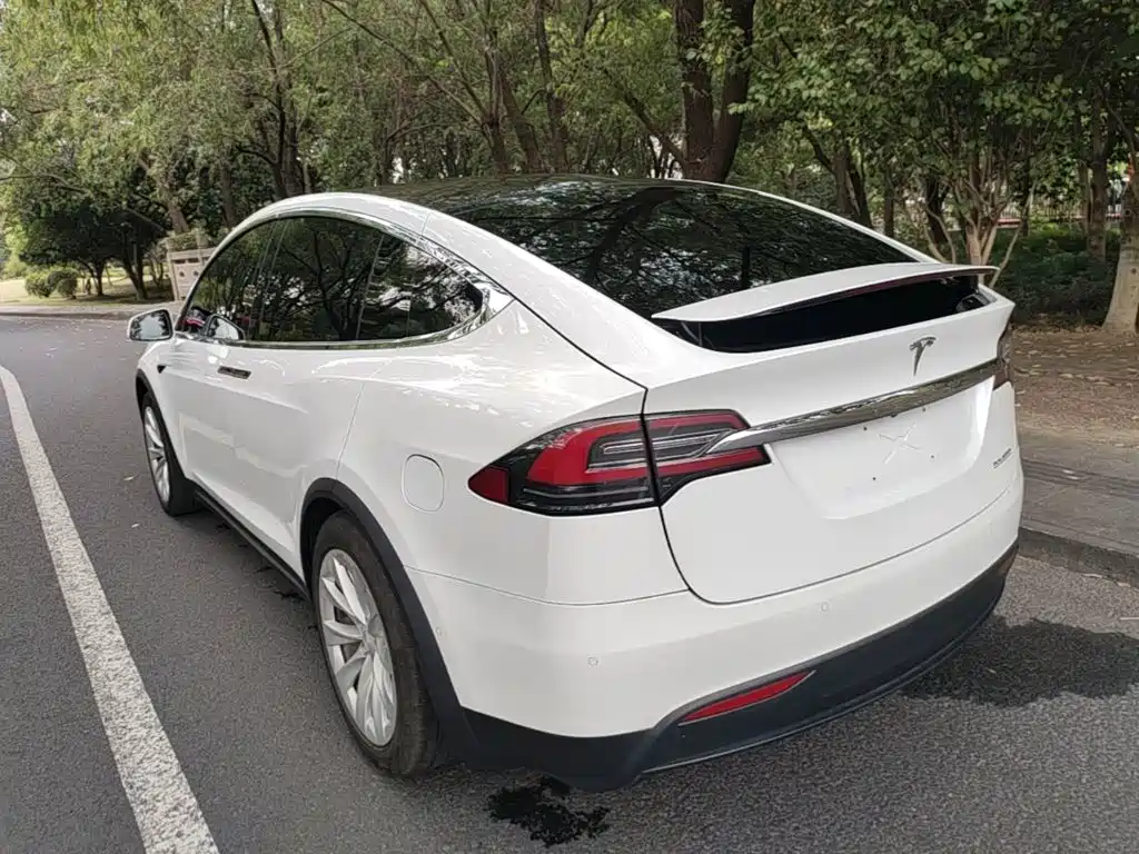 Tesla Model X 2019 — фото 5