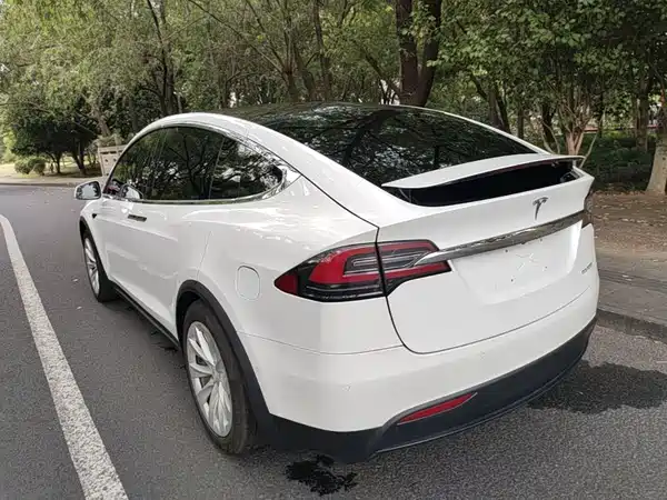 Tesla Model X 2019