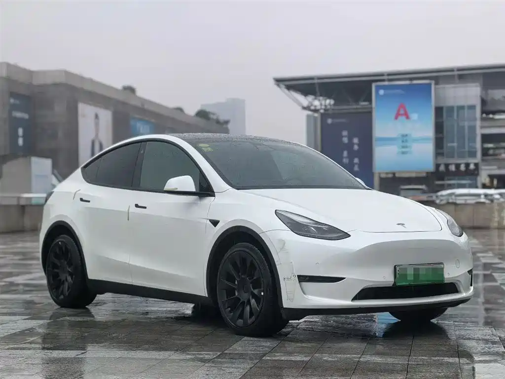 Tesla Model Y 2021 — фото 3