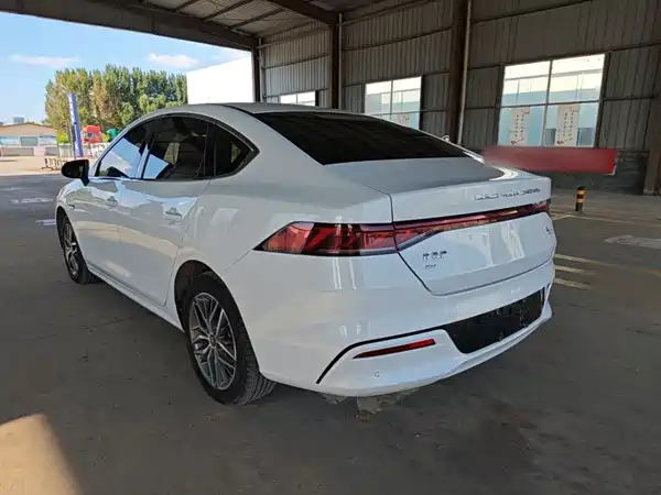 BYD Qin PLUS 2024