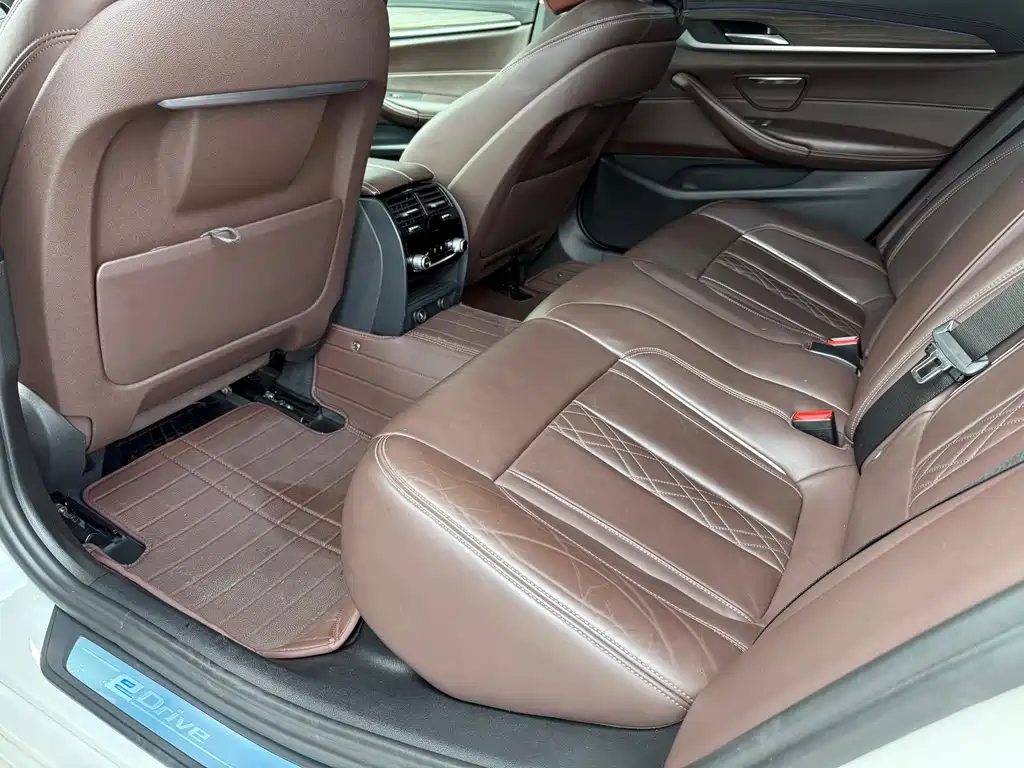 BMW 5 Series New Energy 2019