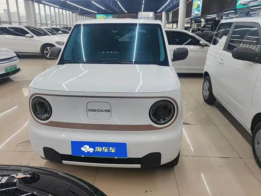 Galaxy Panda 2025