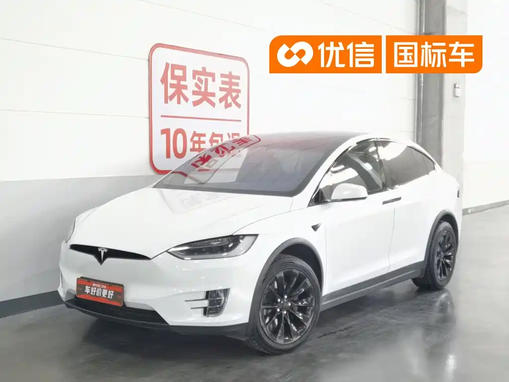 Tesla Model X 2017 — фото 1