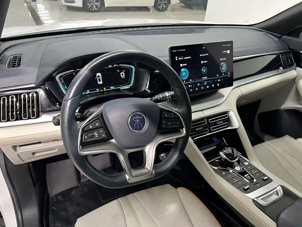 BYD Song PLUS New Energy 2021 — фото 4
