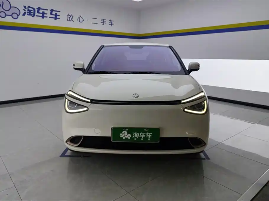 Dongfeng Nano 01 2024