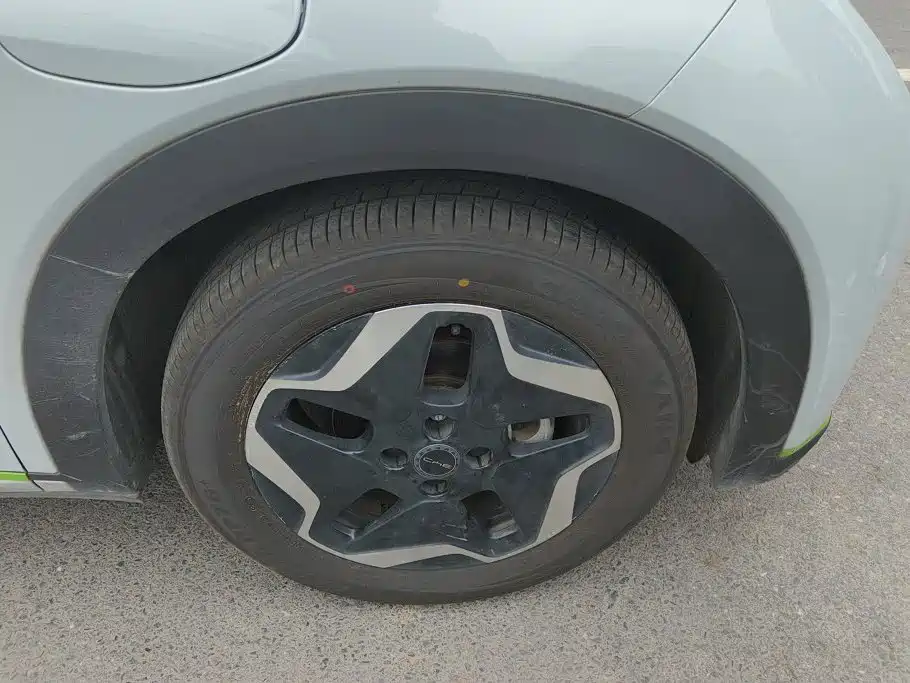 BYD Dolphin 2022