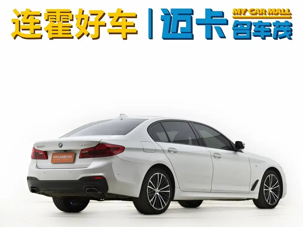 BMW 5 Series 2019