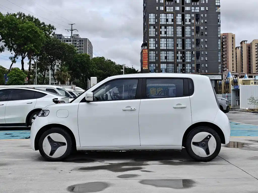 Ora White Cat 2022