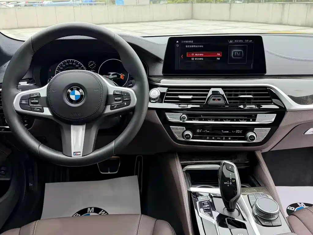 BMW 5 Series 2019 — фото 14