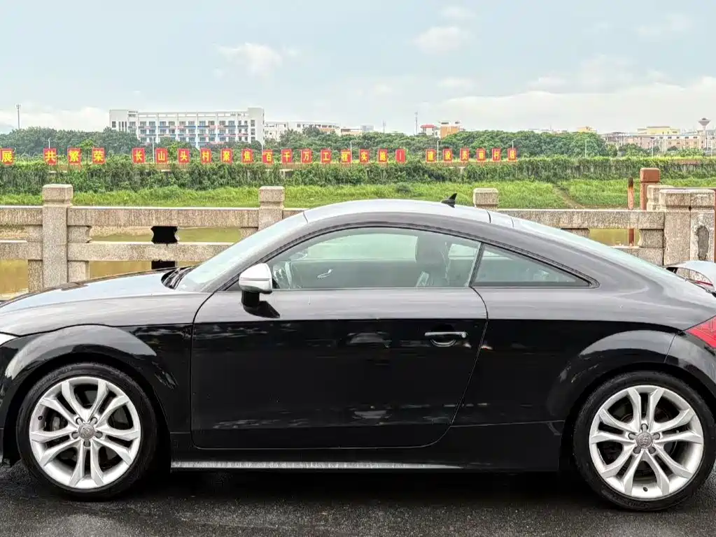 Audi TTS 2013