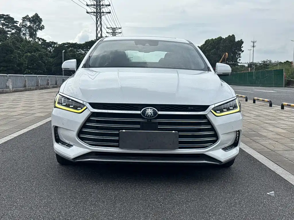 BYD Qin Pro New Energy 2019 — фото 2