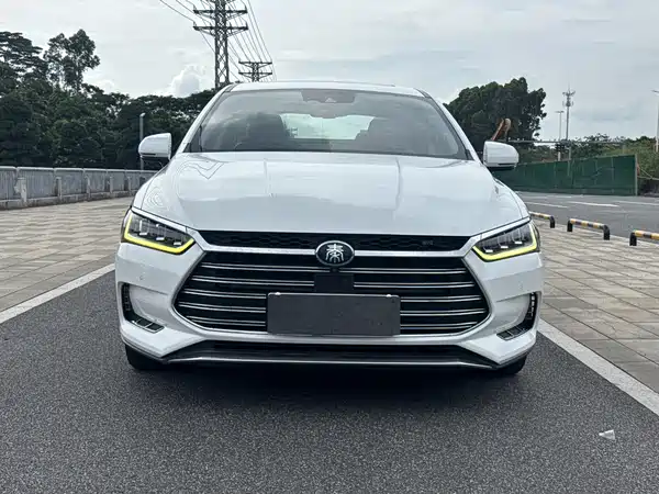 BYD Qin Pro New Energy 2019