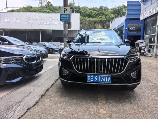 Hongqi HS5 2020
