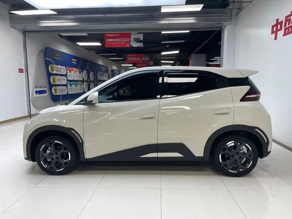 BYD Seagull 2025