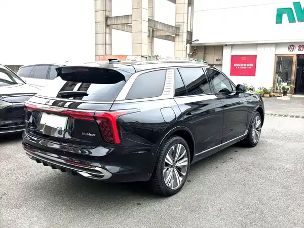 Hongqi E-HS9 2021