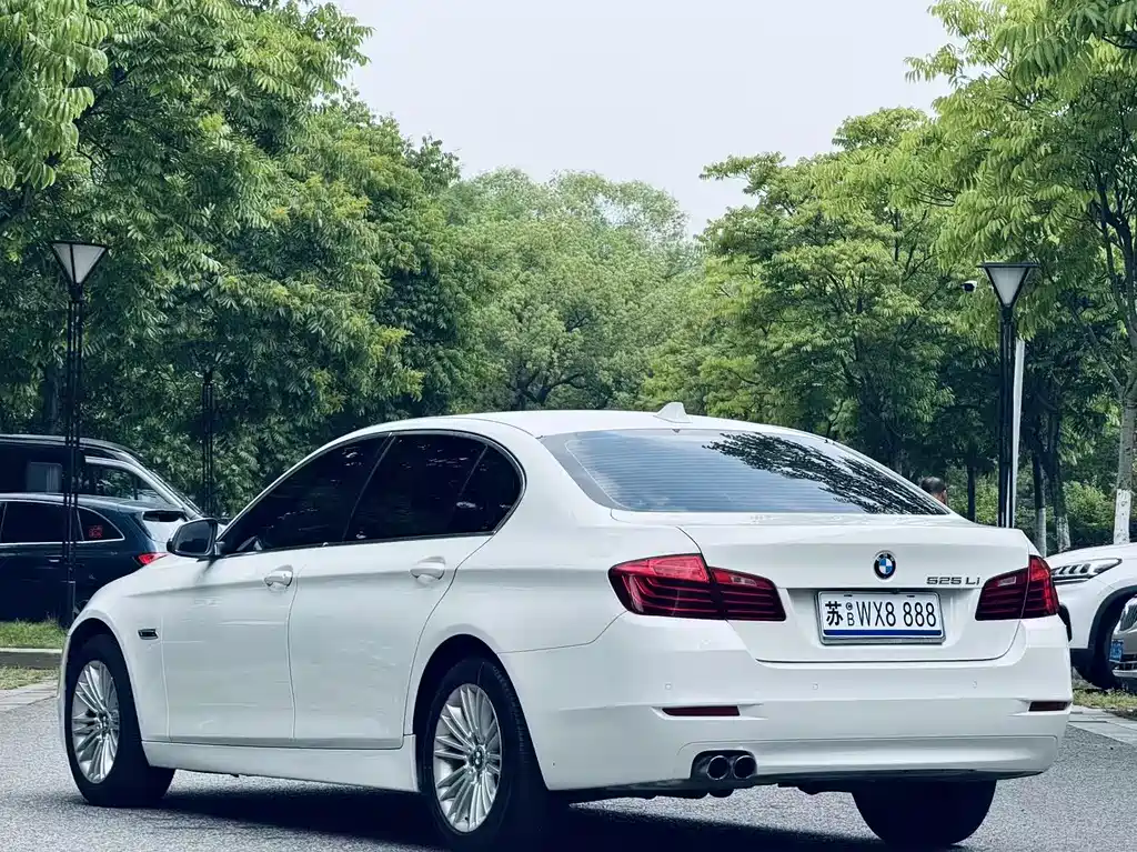 BMW 5 Series 2014 — фото 6