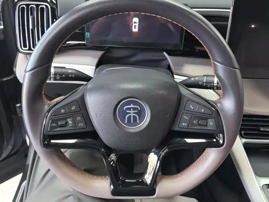 BYD Song Pro New Energy 2024 — фото 15