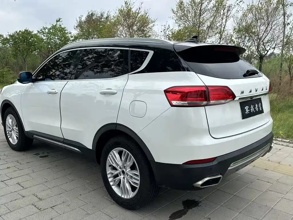 Haval H6 2017 — фото 4