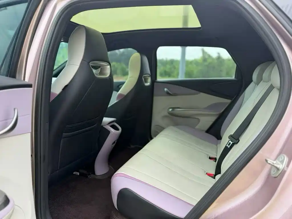 BYD Dolphin 2023