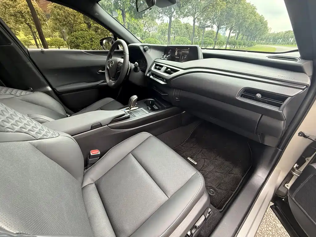 Lexus UX New Energy 2020 — фото 14