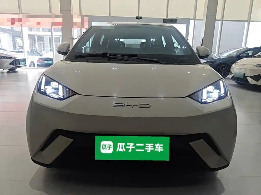 BYD Seagull 2024