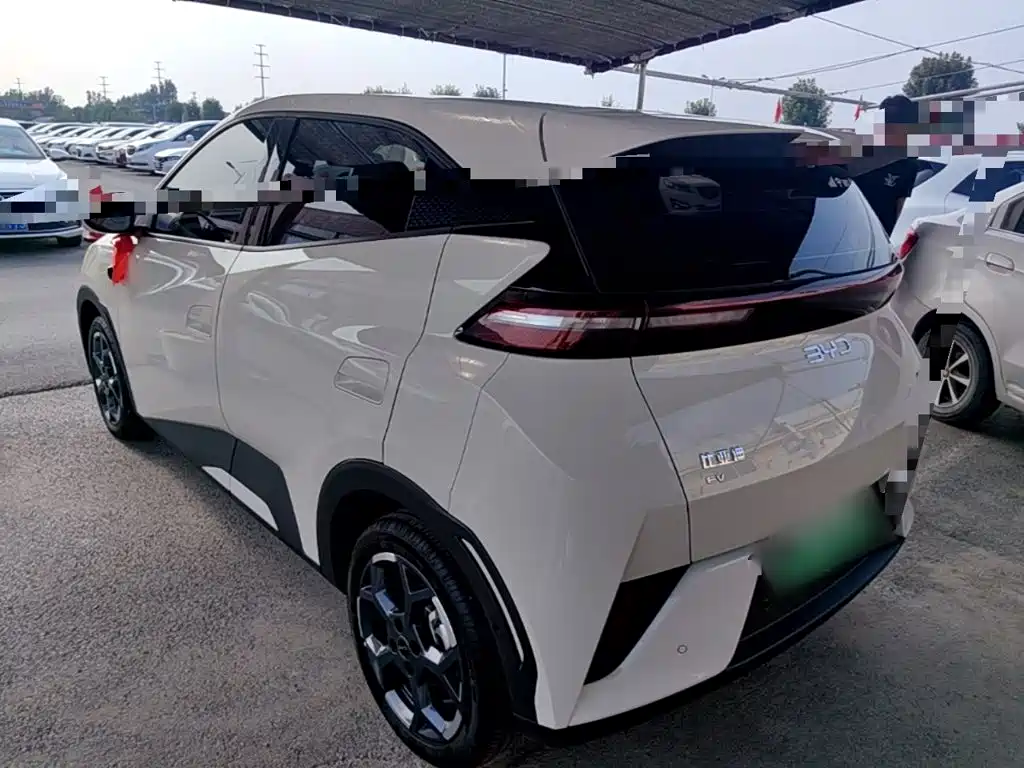 BYD Seagull 2025