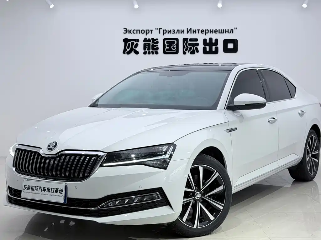 Skoda Speedy 2024