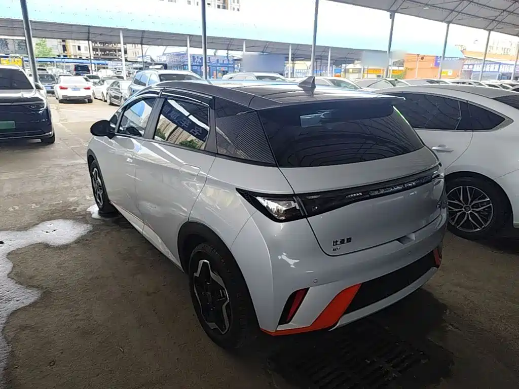 BYD Dolphin 2021